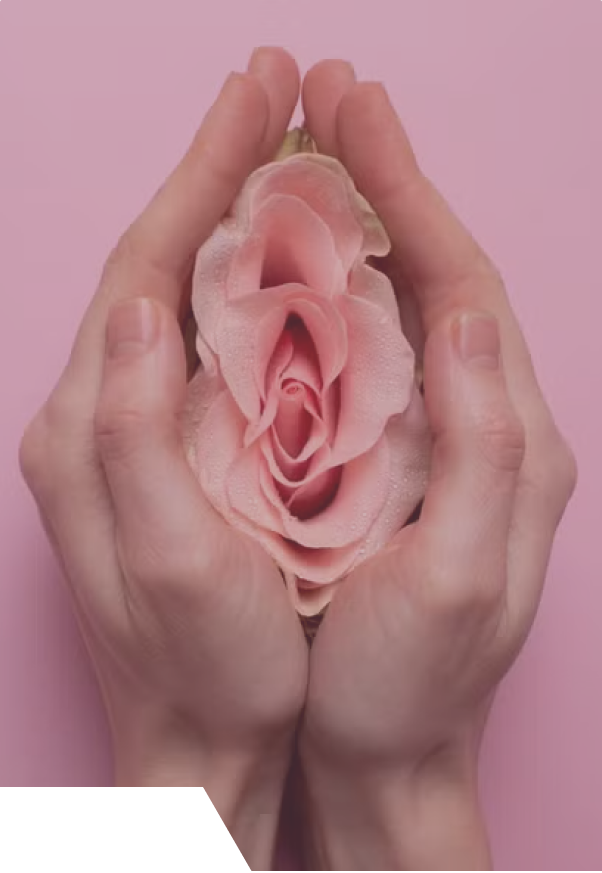 Ginecologia regenerativa e estética íntima